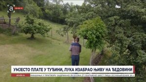 Умјесто плате у туђини, Лука изабрао њиву на ђедовини