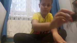 обзор на насекомых