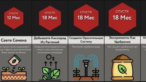 Что Будет, Если Переехать На Марс