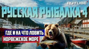 Где и на что ловить | Русская Рыбалка 4