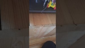 2 сезон 44 серия пранк над рокси