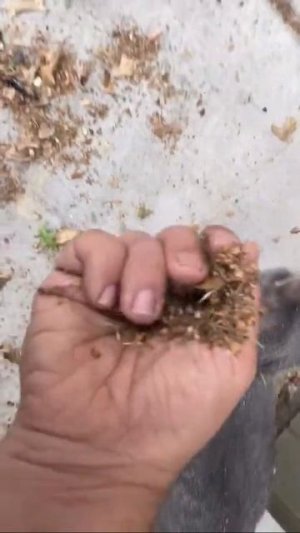 Не смей указывать мне, что делать!