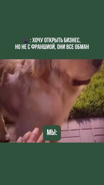 Кто-то уже сталкивался или открывал бизнес через франшизу?