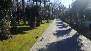 Прогулка по городу Сочи