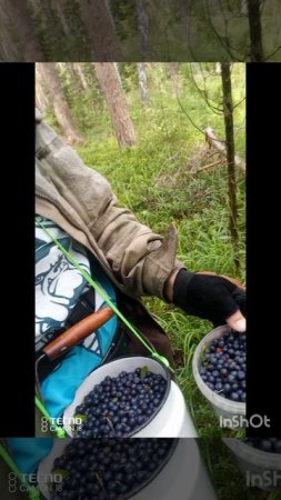 трэш в лесу 3 серия.mp4