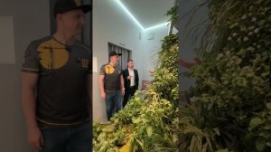 Озеленение фасадов. Интервью компаний DIAT и TEGOLA. АРХМОСКВА 2025