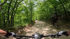 Велососиски