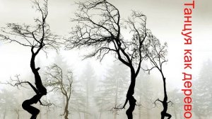 Танцуя как дерево