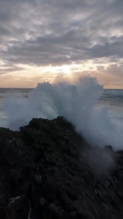 #вода