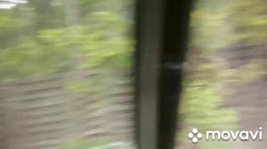 MovaviClips_Video_20250627-040236.mp4