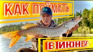 КАК И ГДЕ ПОЙМАТЬ ЩУКУ? Уходим от нуля на рыбалке.
