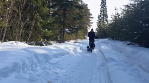 Часть 11. Носочный вор Егор и его прекрасная пассия