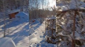 Хронология постройки дома в «Непряхинском поместье»: 6 января 2024 г.