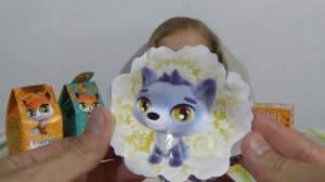 Мисс Кэйти и Мистер Макс (Miss Katy) Обзор игрушек (3)