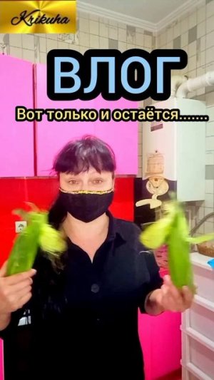 ВЛОГ