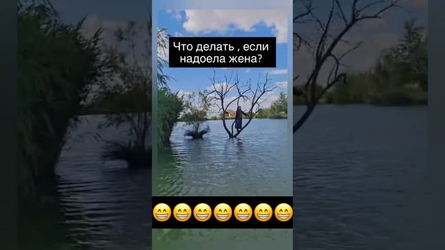 как избавиться от жени