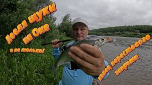 Ловля щуки на реке Ока. И не только. После нерестового запрета.