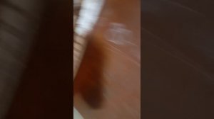 зейская 252 промывка WhatsApp Video 2025-06-27 at 16.14.55