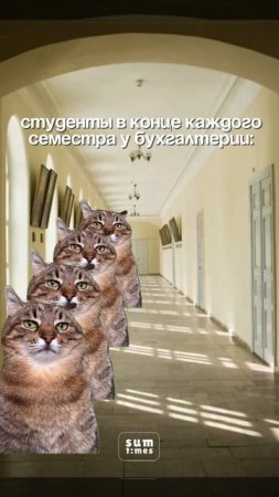 Знакомо?