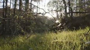 Вдох природы — энергия жизни и гармония внутри часть 7