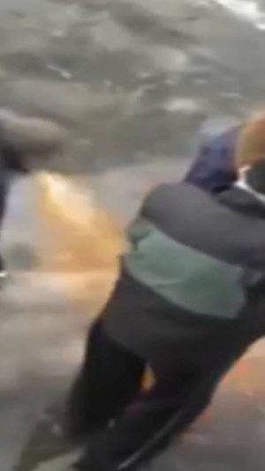 Полный Ролик о том, как я поговорил с собакой, можно посмотреть на моём канале