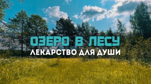 ЗАБРОСИЛ – КЛЮНУЛО! УТРО на ТАЙНОМ озере. Ловля окуня. Mavllos Resolute катушка. #мормышинг