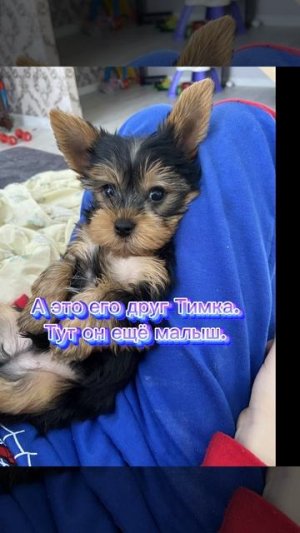 Знакомьтесь)))