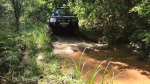 Shortcut Magic forest 4k