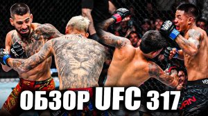 ВЫРУБИЛ С 1 УДАРА! ОБЗОР UFC 317 Илия Топурия VS Чарльз Оливейра, Пантожа, Кара-Франс, Ван, Ройвел