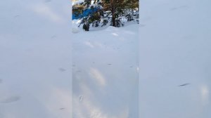 Хронология постройки дома в «Непряхинском поместье»: 18 февраля 2024 года