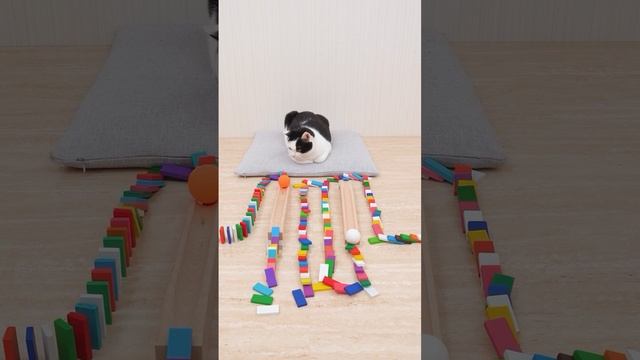 AQNdcOT_FOQeS4I7c4C6vxRUpbkGLWS6_hjLr2aB92TdG55KVtketr8o6AqolOA3xmj9PNd9l