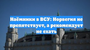 Наёмники в ВСУ: Норвегия не препятствует, а рекомендует не ехать