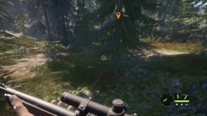 УДАЧНАЯ ЭФФЕКТИВНАЯ ОХОТА! (theHunter: Call of the Wild #2)