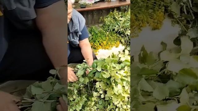 Хороший веник дороже денег!
