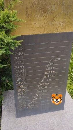 ПОПУЛЯЦИЯ#ТИГРЫ#TIGER#POPULATION