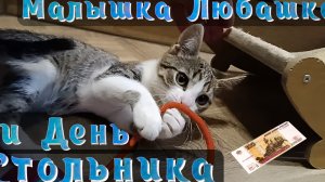 Малышка Любашка и День Стольника.
