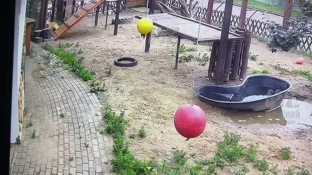 Мы играли и теперь устали и пора нам на обед 29.06.2025