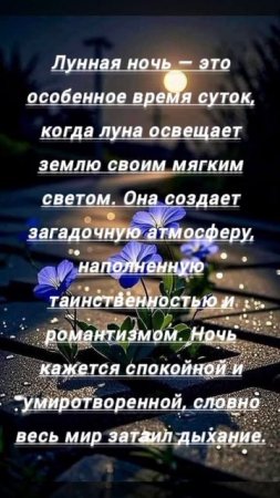 Видеооткрытка