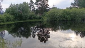 Магнолия