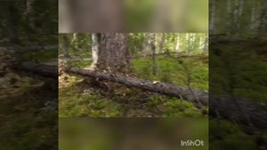 на рыбалку к другу.рыбалка,часть-2