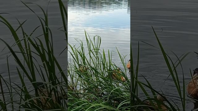 1000021230.mp4