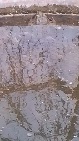 VID_20250629_180630.mp4