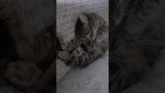 VID_20250629_160831