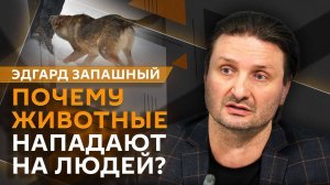 Эдгард Запашный. Безопасный дом, парки львов, характер верблюдов, сохранение популяции