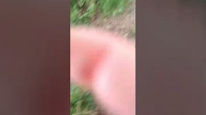 ШАЛАШ ГНУТ