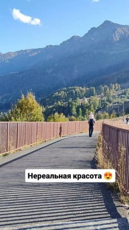 Красота