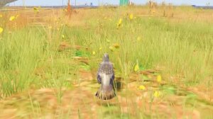 FlazinЯ ПРОВЕРИЛ 10 ВИРУСНЫХ МИФОВ В ГТА 5 ! ФЛЕЙЗИН РАЗРУШАЕТ МИФЫ 24 ЧАСА В GTA 5