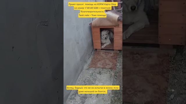 Кто ходит в гости по утрам...