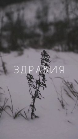 Сила любви Отца и Матери
