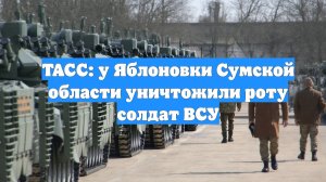 ТАСС: у Яблоновки Сумской области уничтожили роту солдат ВСУ